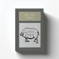 The Poems of John Colgan by John C. Colgan